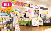 ゆめソーラーはません店