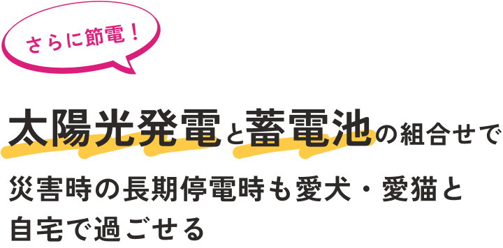 さらに節電！太陽光発電と蓄電池の組合せで災害時の長期停電時も愛犬・愛猫と自宅で過ごせる
